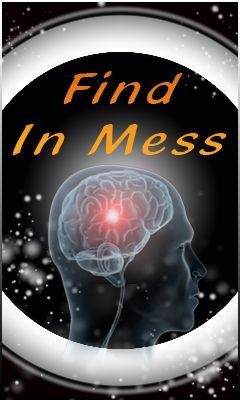 game pic for Find in mess